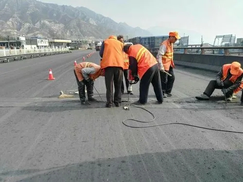 洞口道路桥梁病害治理